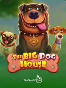 The Big Dog House